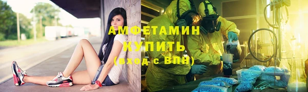 крисы Корсаков