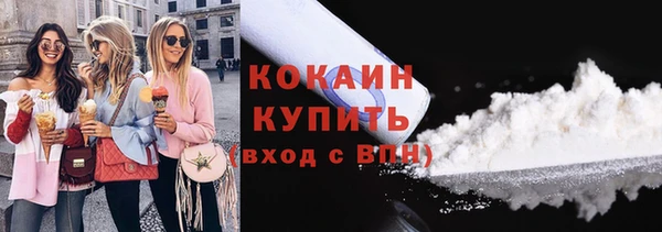 крисы Корсаков