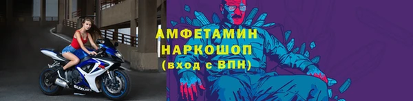 крисы Корсаков
