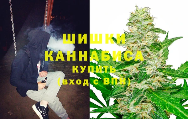 крисы Корсаков