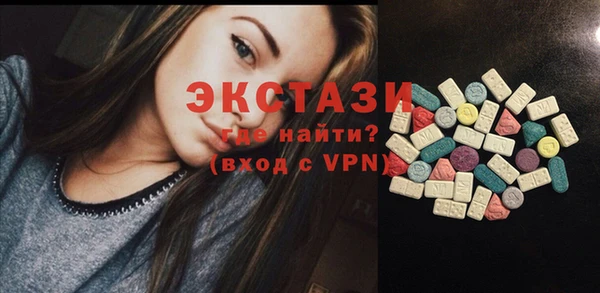 крисы Корсаков