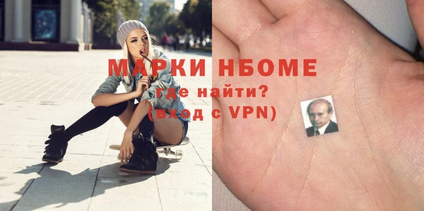 крисы Корсаков