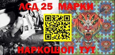 гашик Донской