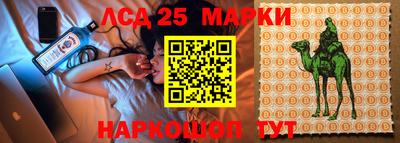 гашик Донской