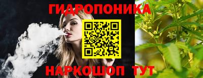амф Дубна