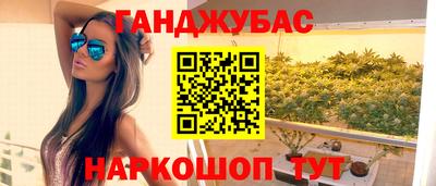 гашик Донской