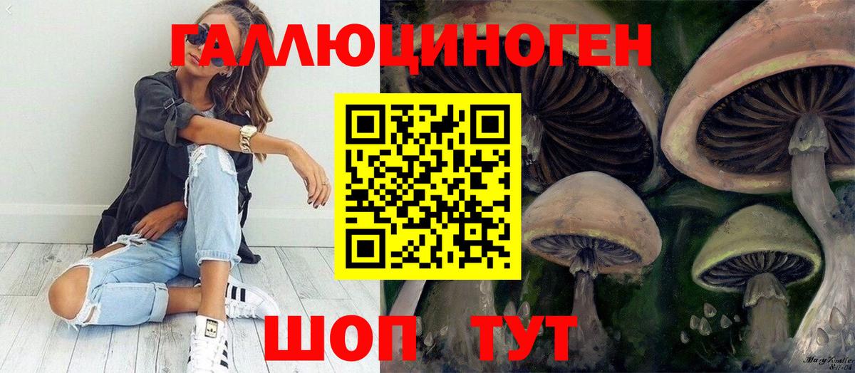Псилоцибиновые грибы мицелий  Вход с VPN  Минусинск 