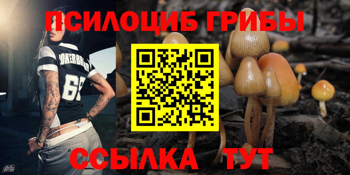 Псилоцибиновые грибы мухоморы Минусинск