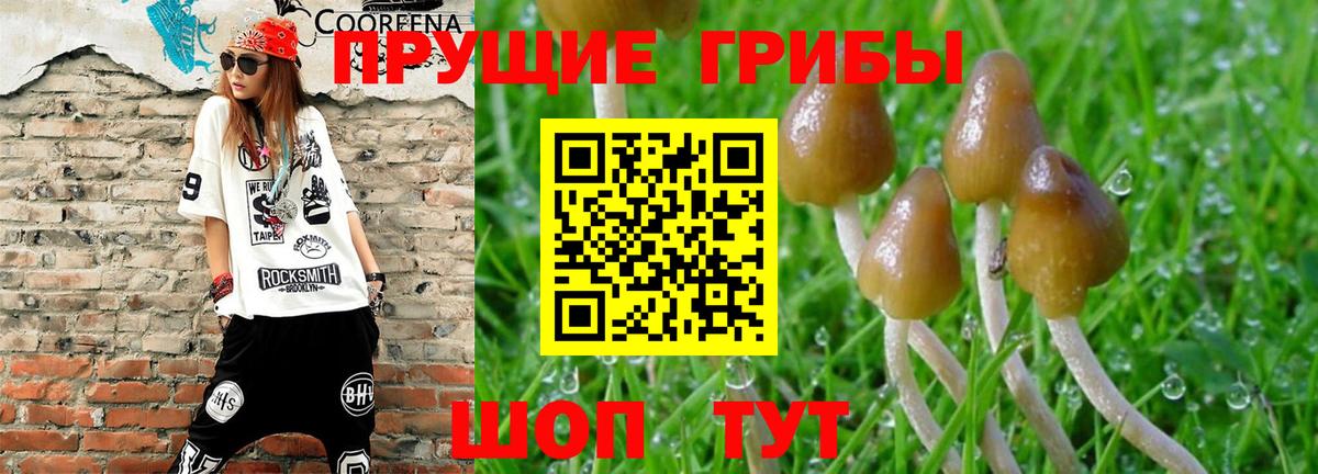 Псилоцибиновые грибы Magic Shrooms Минусинск